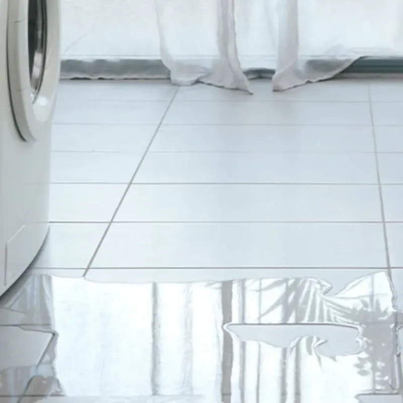 Appliance Leak Cleanup in Somerset, MD
