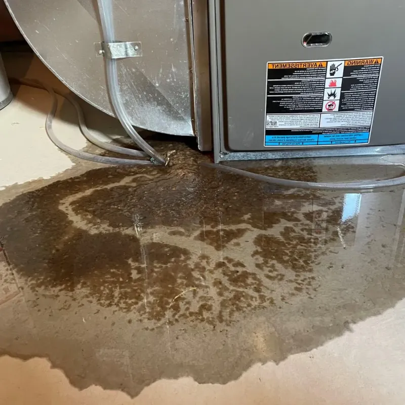 Pipe Burst and Leak Restoration in Somerset, MD